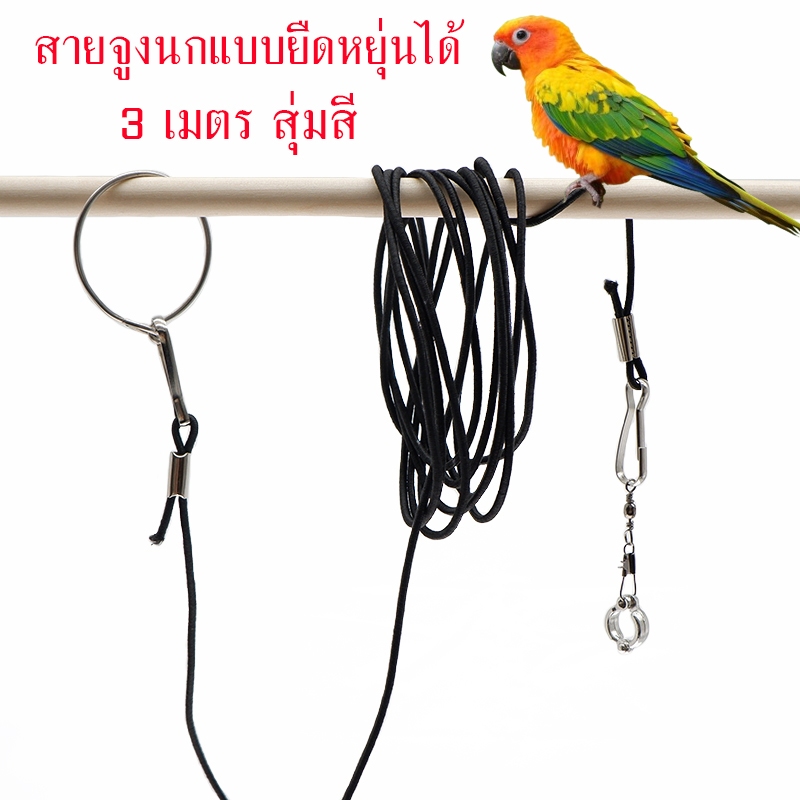สายจูงนกแบบยืดหยุ่นได้ ห่วงขานก 4-12มม สายคล้องขานกแก้ว 3เมตร นกแก้ว ป้องกันนกหลุด ฝึกนก