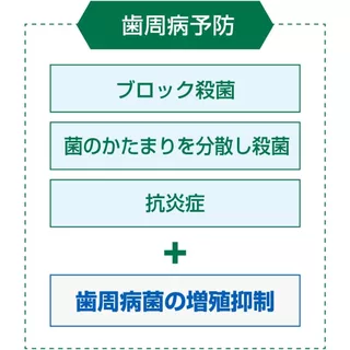 GUM Plus Dental Rinse น้ำยาบ้วนปาก ขายดีของญี่ปุ่น 🇯🇵 Koneko