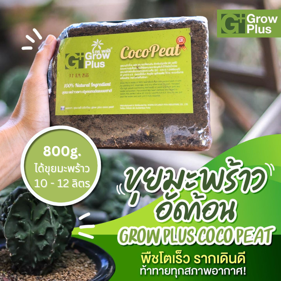 ขุยมะพร้าวอัดก้อน Grow Plus coco peat 800 g. (10-15 ลิตร) ล้างสารแทนนิน ปลอดเชื้อ (ส่งจากบางบอน)