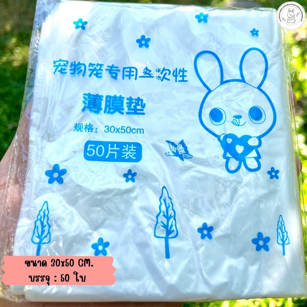 รูปภาพ 5