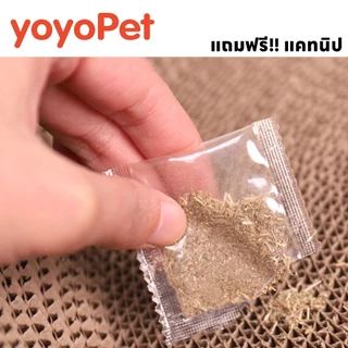 yoyopet : ที่ลับเล็บแมว+แคทนิป อ่างลับเล็บของเล่นแมว ที่นอนแมว 2in1 แผ่นลับเล็บ ที่ฝนเล็บสัตว์เลี้ยง