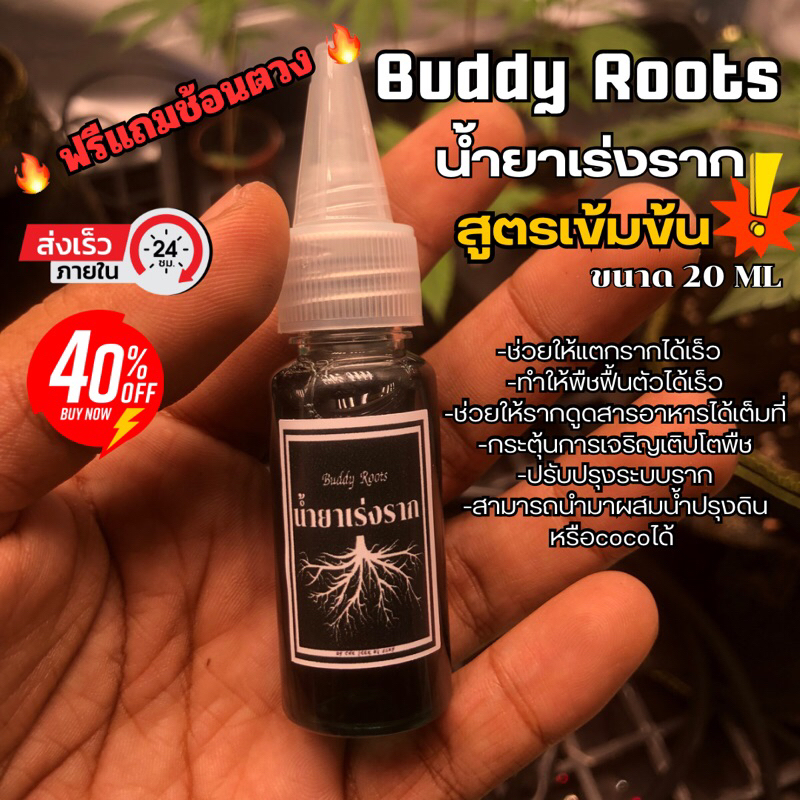 จัดส่งไว น้ำยาเร่งราก Buddy Roots สูตรเข้มข้นน ขนาด 20 ML + แถมฟรี ช้อนตวง