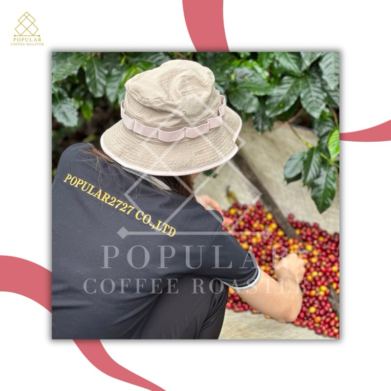 รูปภาพ 4