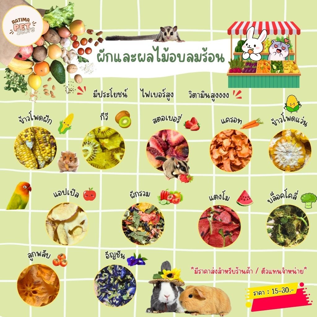 ขนมหนูแฮมสเตอร์ กระต่าย แกสบี้ ชูก้าร์ไกลเดอร์ นกแก้ว ผักผลไม้อบลมร้อน ขนมสัตว์เล็ก (Ratima)