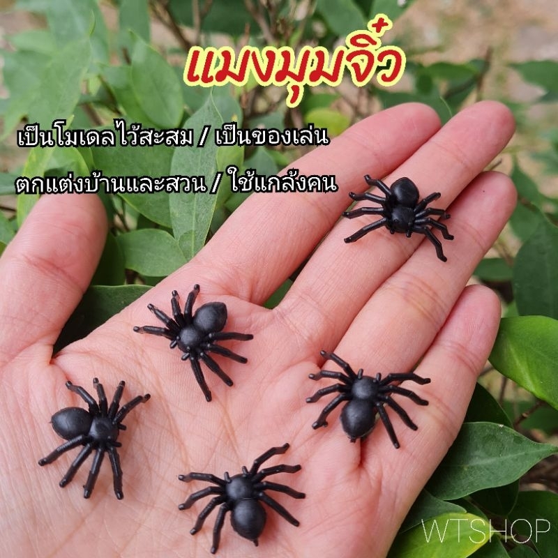 โมเดลแมงมุม (5ตัว) แมลงมุมจิ๋ว แมงมุมของเล่น ใช้ตกแต่งบ้าน เล่นเป็นของเล่น หรือแกล้งคนได้ (5ตัว)