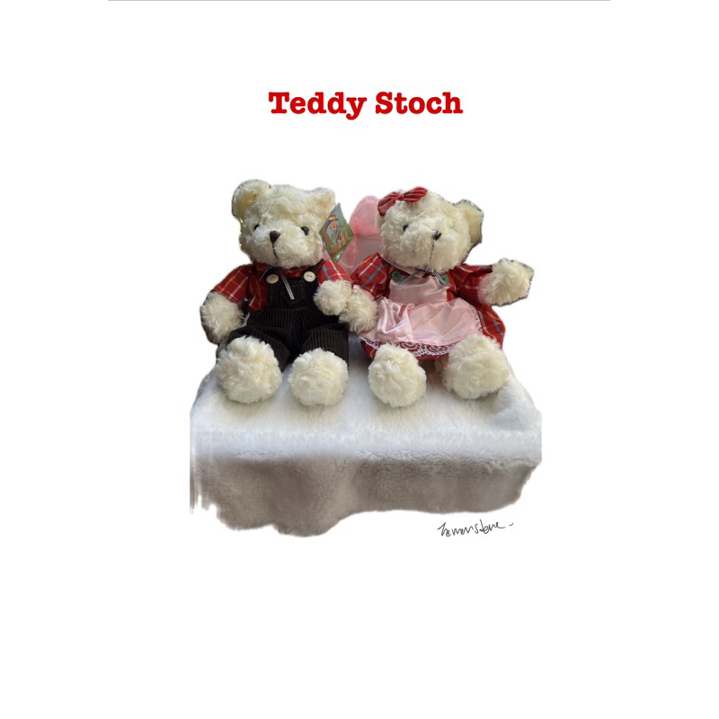 ตุ๊กตาหมีเท็ดดี้แบร์ teddy bear ตกแต่งเสื้อผ้า ขนาด 12นิ้ว