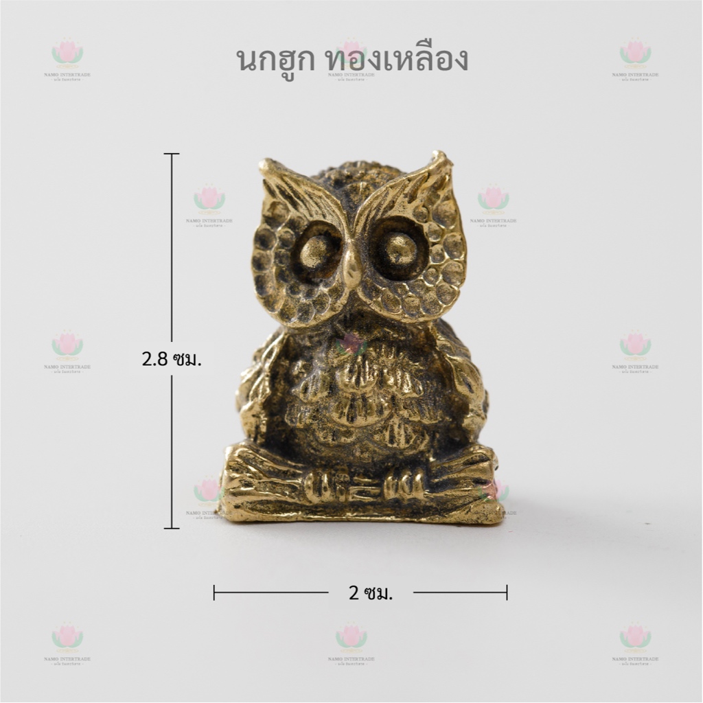 นกฮูก ทองเหลือง ถวาย พระแม่ลักษมี