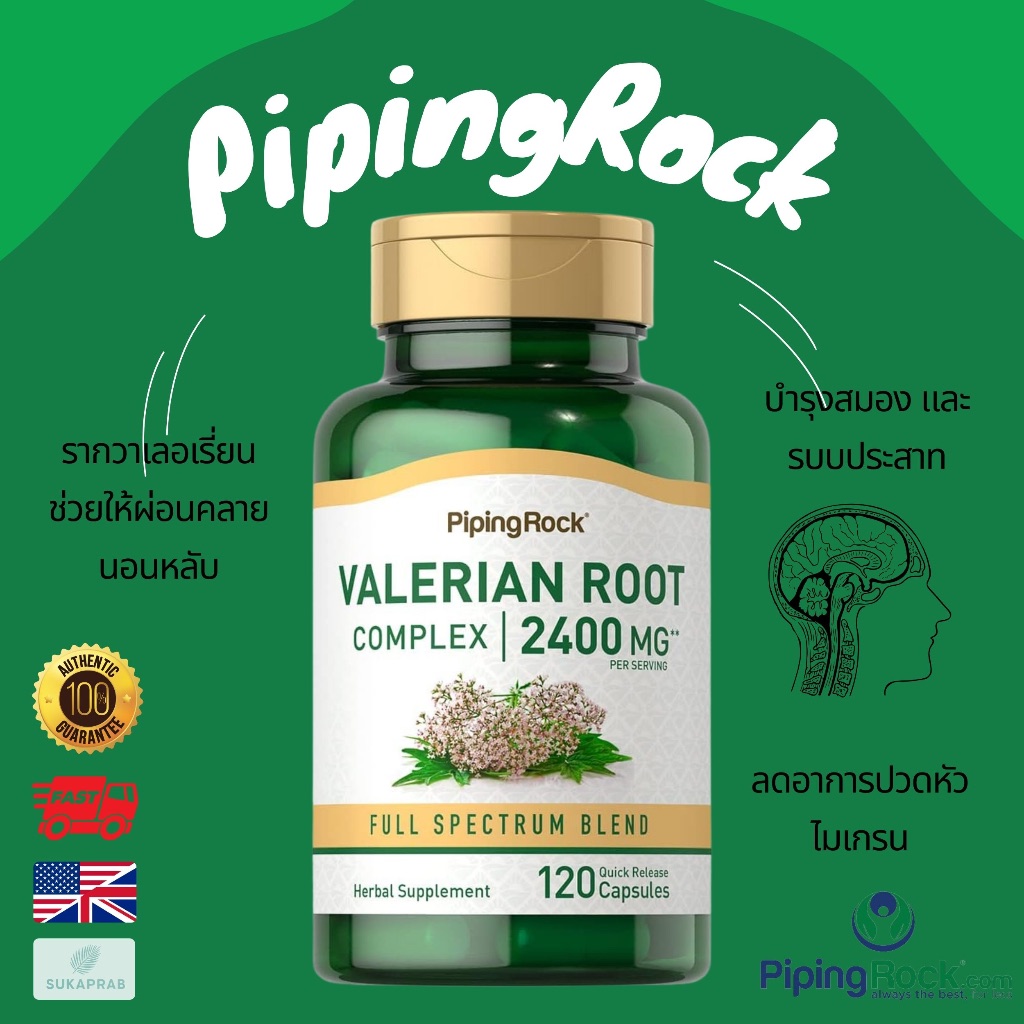 พร้อมส่ง Piping Rock Valerian Root Capsules 2400 mg | 120 Capsules รากวาเลอเรี่ยน ผ่อนคลายบำรุงสมอง