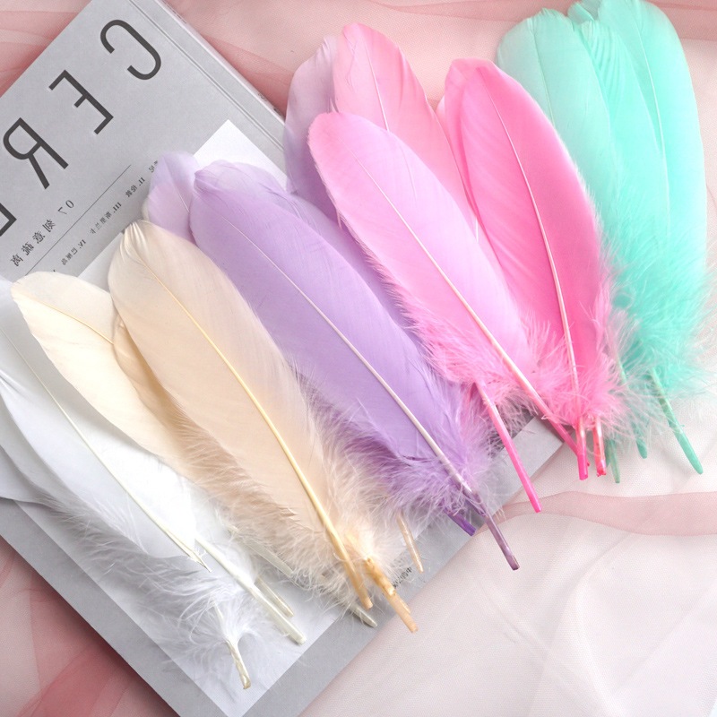 ขนห่านย้อมสี จำนวน 10 ชิ้น   ขนาด 12-18 cm. ขนห่านจริงย้อมสี พร้อมส่ง