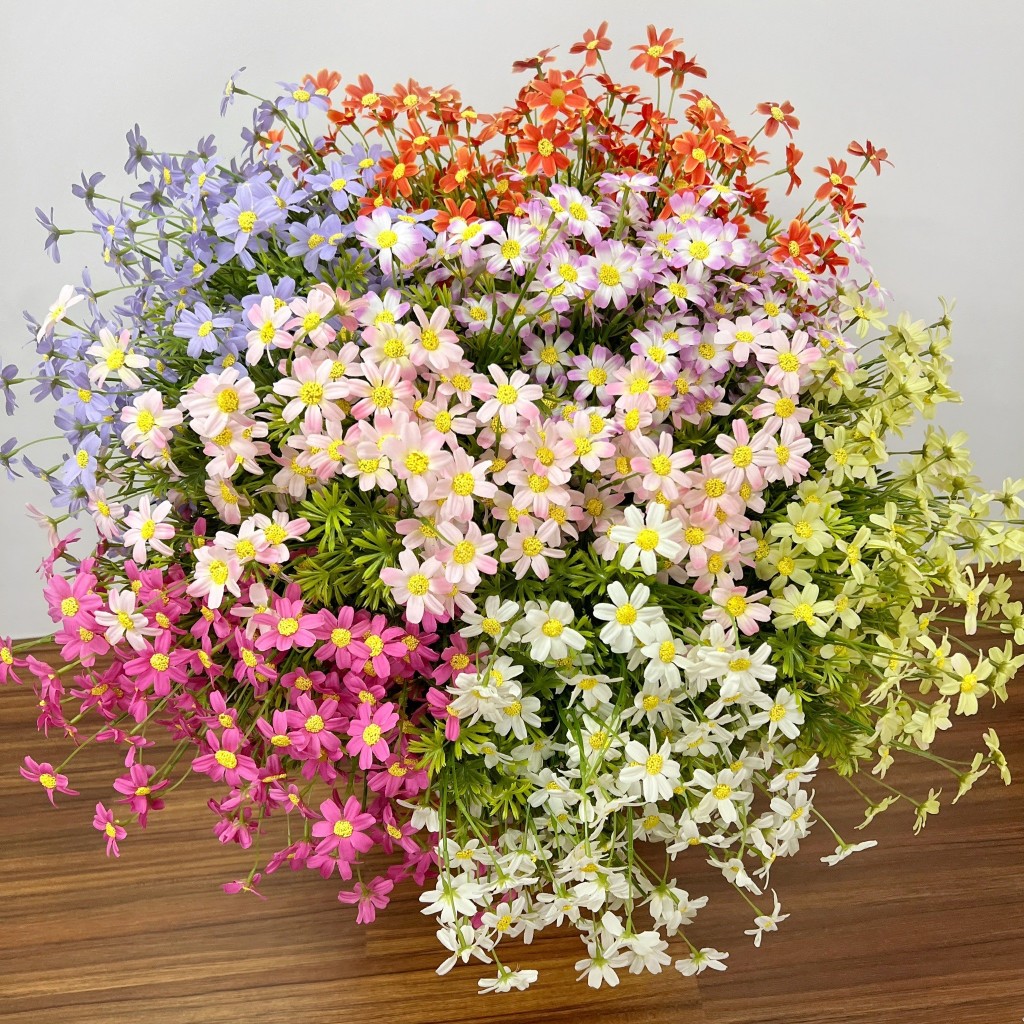 คอสมอสSDx3ก้านยาว พร้อบดอกไม้