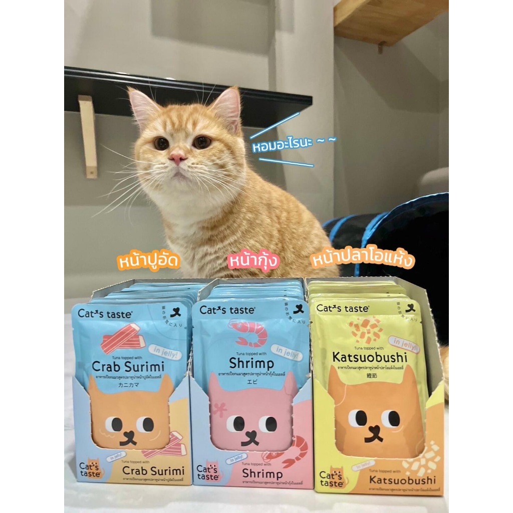 (12 ซอง) อาหารเปียกแมว Cat’s Taste Sea food 1 กล่อง  ( 12 ซอง )