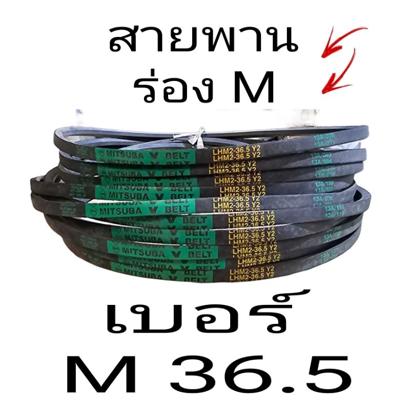 สายพานร่อง M 36.5 ราคาต่อ 1 ชิ้น