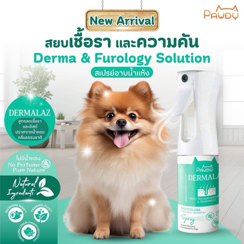 Pawdy Spray สเปรย์อาบน้ำแห้งสุนัข สูตร Natural ลดเชื้อราและยีสต์ ลดการอักเสบของผิวหนัง (ขนาด 150 ml.)