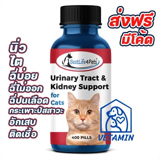 [20 เม็ด ส่งฟรี ] พร้อมส่ง วิตามินแมว ฉี่ไม่ออก เบ่งฉี่ ฉี่น…