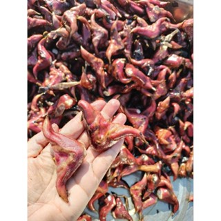 กระจับดิบ กระจับเขาควายของดีจังหวัดสุพรรณบุรี 5 กิโล 240 ฿ เ…