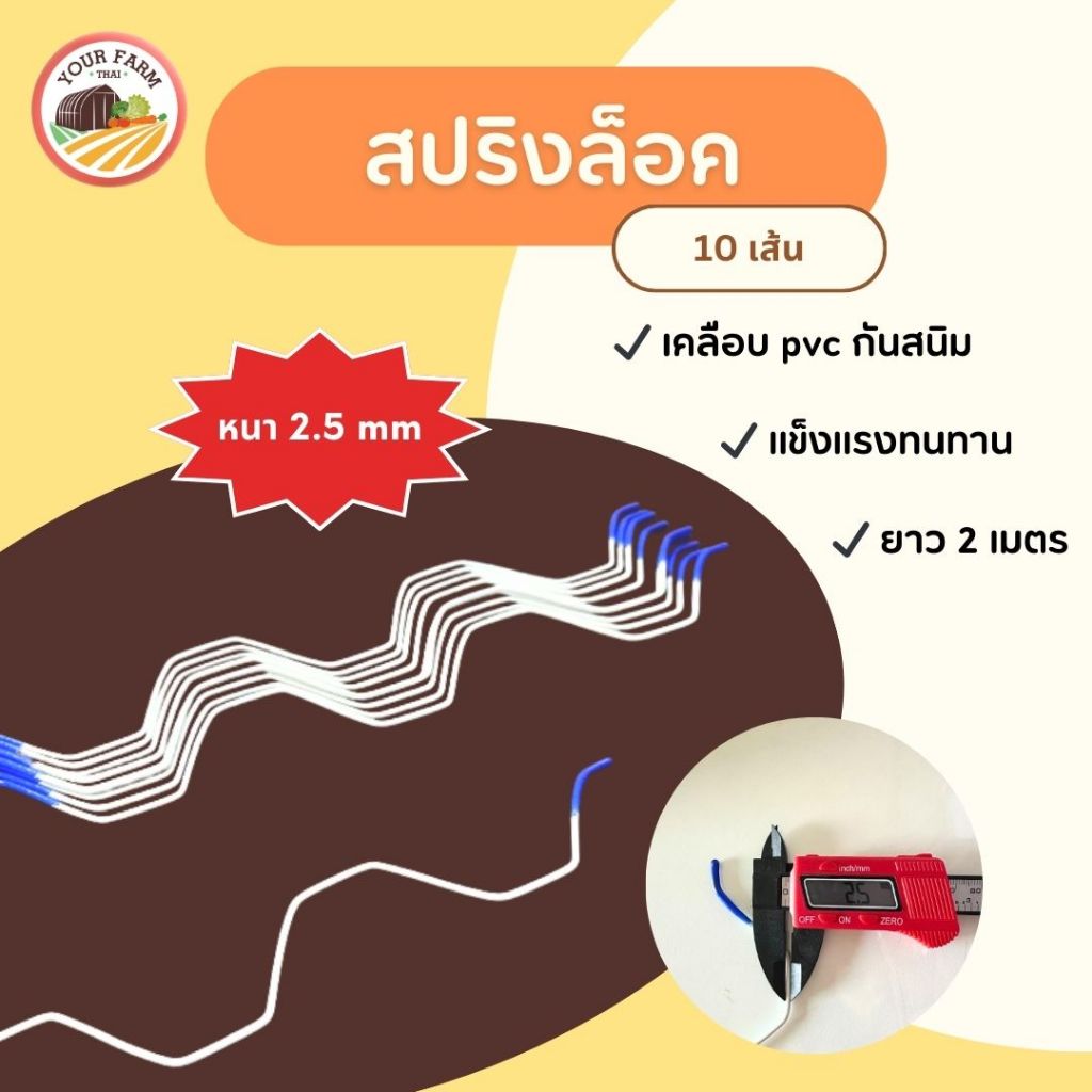 สปริงล็อครางวาย เคลือบ PVC ความยาว 2 เมตร หนา 2.5 mm. (10เส้น)