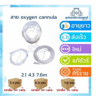 ยกลัง สายออกซิเจน Oxygen Cannula สายออกซิเจนผู้ป่วย สายออกซิเจนทางจมูก