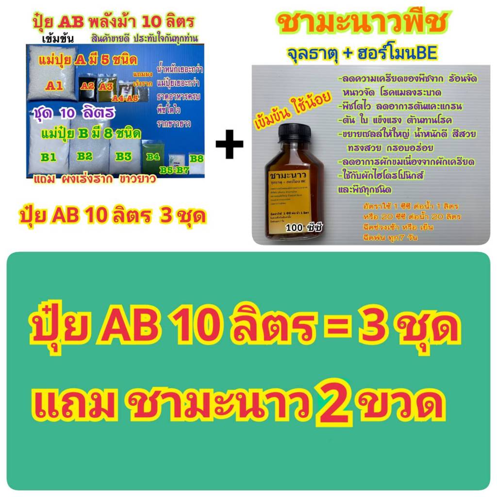 รูปภาพ 2