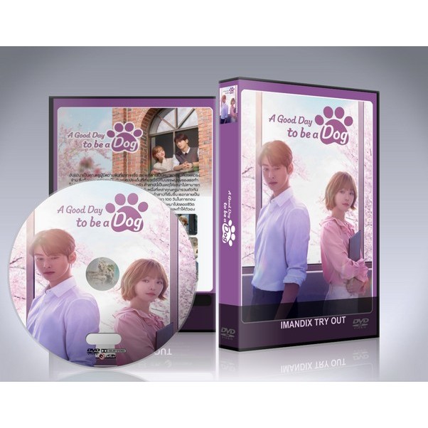 ซีรี่ย์เกาหลี A Good Day To Be A Dog (2023) จูบรักปลดล็อก DVD 4 แผ่นจบ.(พากย์ไทย/ซับไทย)