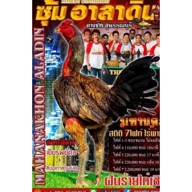 ไข่ไก่สายเลือดมหานคร+บิกกัฟ