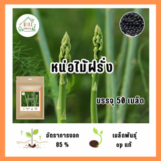 เมล็ดพันธุ์ หน่อไม้ฝรั่ง บรรจุ 50 เมล็ด