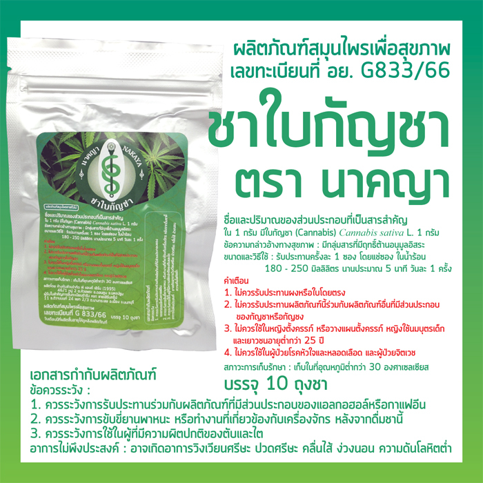 ชาจากใบกัญชา ตรานาคญา ผลิตภัณฑ์สมุนไพรเพื่อสุขภาพ CANNABIS LEAF INFUSION NAKAYA BRAND
