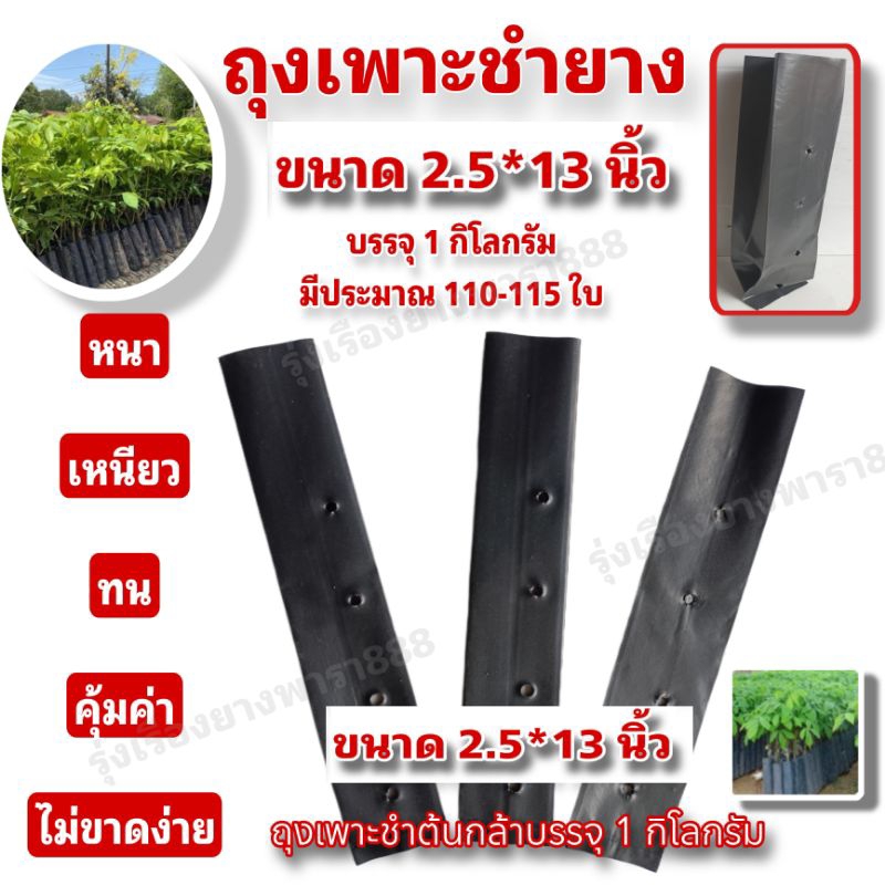 ถุงชำยาง ถุงเพาะชำต้นไม้ ขนาด 2 นิ้ว และ 2.5×13 นิ้ว (ขายเป็นกิโลกรัม)