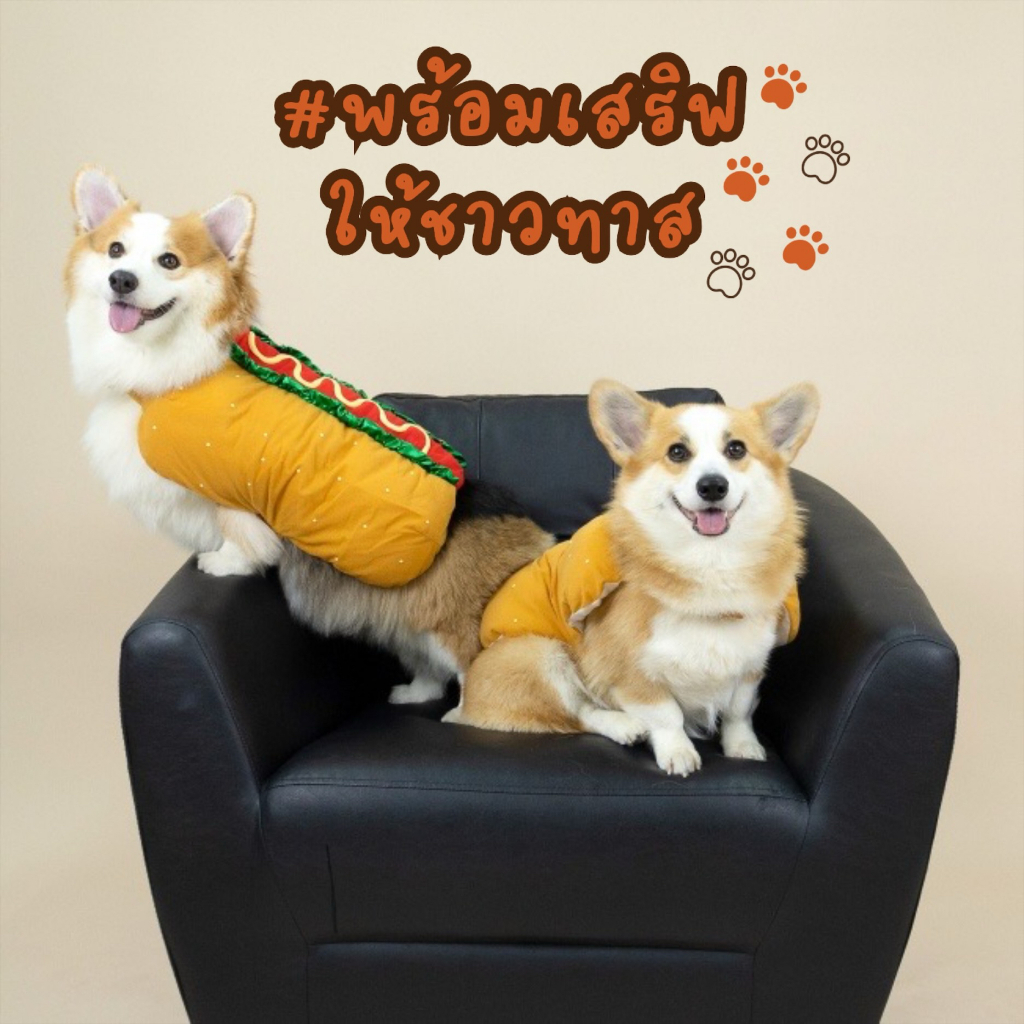 [สินค้าราคาพิเศษ] ชุดหมาแมวแฟนซี (Hotdog) ฮอทดอก ฮอทใจ | CLAWSET.BKK - รูปที่ 3
