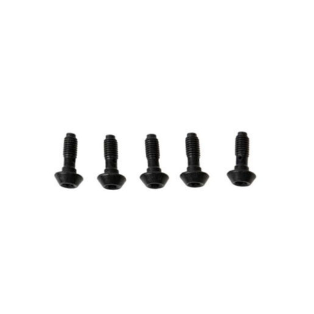 Banjo Screw for MT Brake Caliper With Rotating Tube Connection 5 Pcs