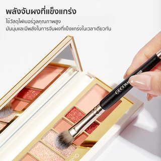 แปรงอายแชโดว์ หัวคู่ Eye Shadow Brush แปรงขนสัตว์ขนนิ่ม เหมาะสำหรับมือใหม่ แต่งหน้าง่ายๆ