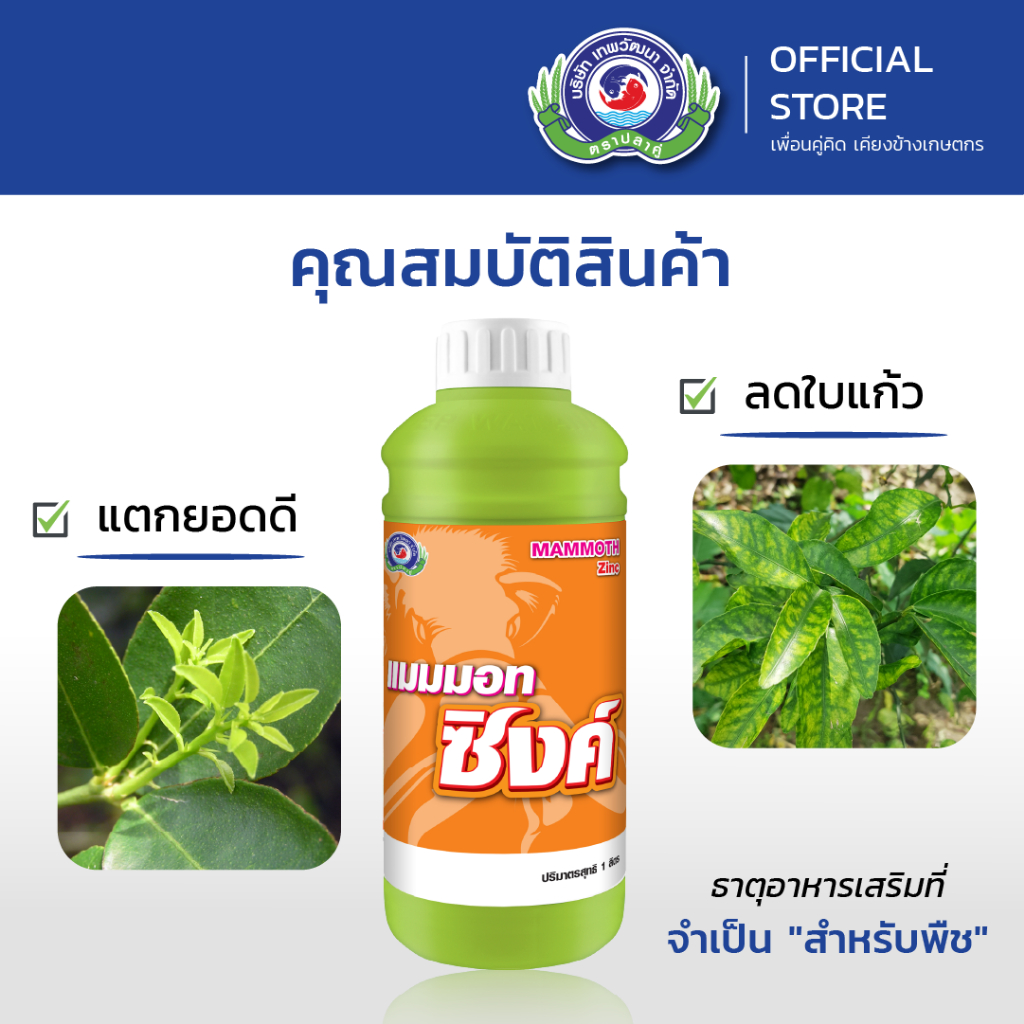 แมมมอท ซิงค์ ขนาด 1 ลิตร│เทพวัฒนา ตราปลาคู่│ธาตุอาหารเสริมพืช ฮอร์โมนพืช (เข้าสี ใบเขียวสม่ำเสมอ แตกยอดแตกตาดอก) - รูปที่ 2