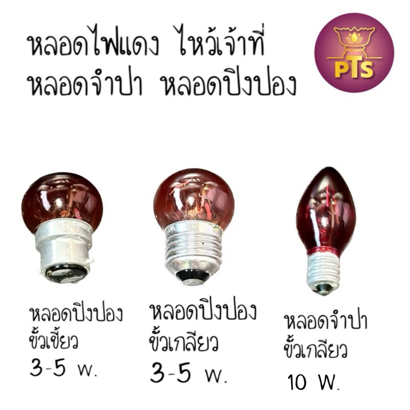 หลอดไฟศาลเจ้า ศาลเจ้าที่ หลอดไฟแดง หลอดไฟจำปาเล็ก 7W สีแดง E12 220V หลอดปิงปอง สีแดง 3-5W ขั้วเขี้ยวและ ขั้วเกลียว