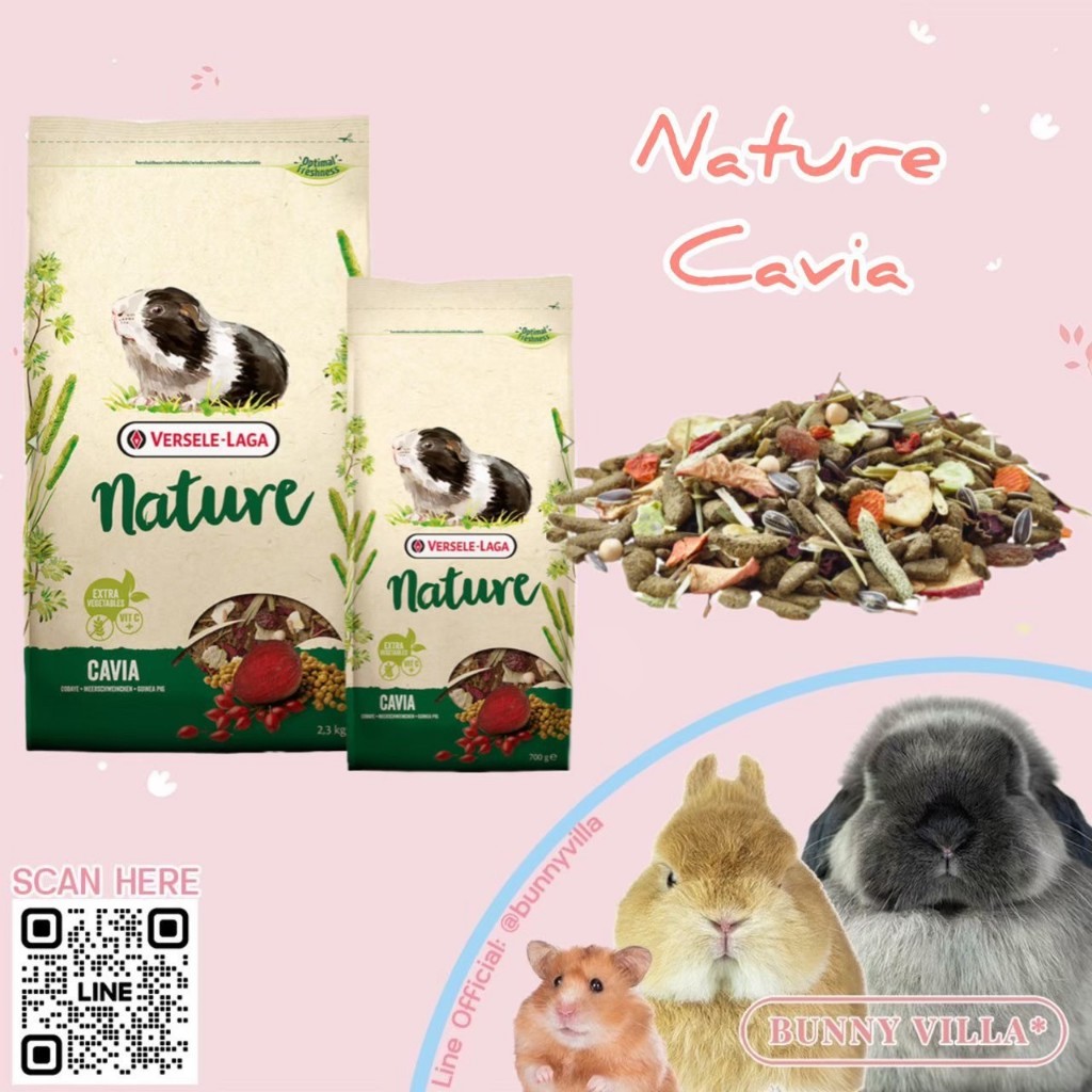 VERSELE-LAGA NATURE- CAVIA อาหารแกสบี้