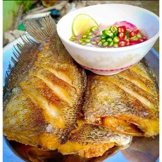 ปลาสลิดไข่ ทอดพร้อมทาน(น้ำหนักก่อนทอด500กรัม1แพ็ค5-6ตัว)ซีลสูญญากาศอย่างดี🐟