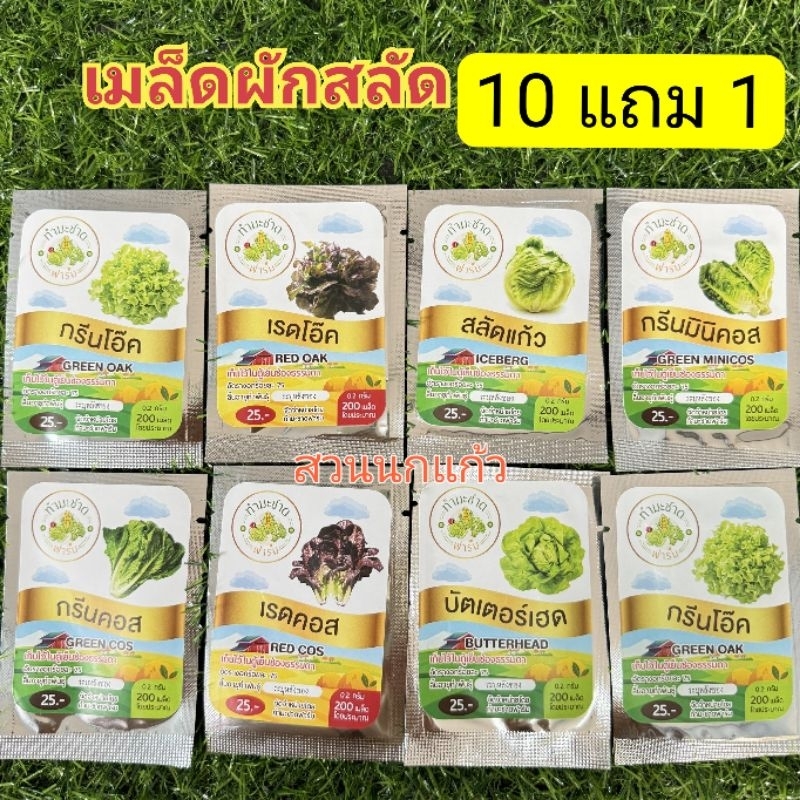 เมล็ดพันธุ์ผักสลัดประมาณ 200 เมล็ด ทำมะชาดฟาร์ม การันตีอัตราการงอก ** 10ฟรี1**