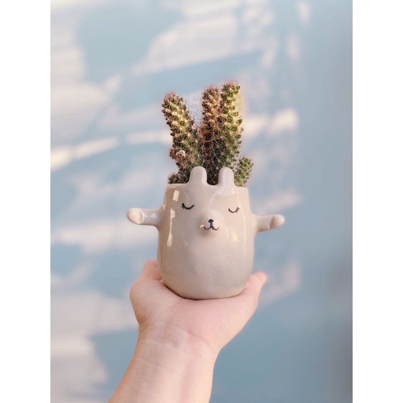 กระถางปั้นมือน้องกระต่าย🐰