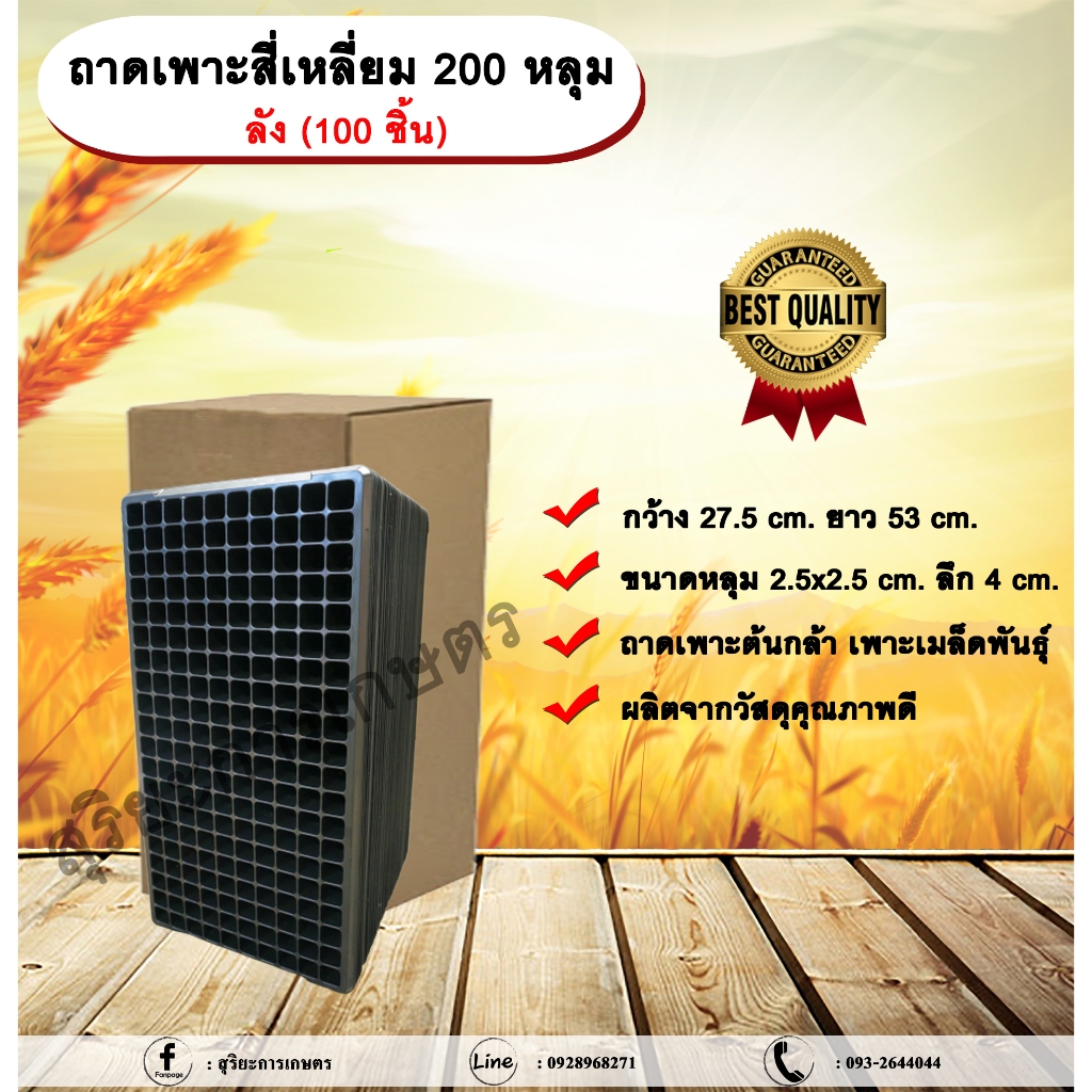 ถาดเพาะสี่เหลี่ยม 200 หลุม ลัง (100 ชิ้น) ถาดเพาะต้นกล้า ถาดเพาะเมล็ดพันธุ์ ขนาด 200 หลุม allaboutpl