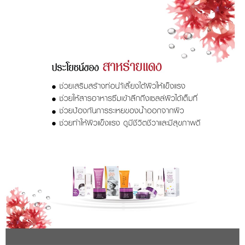 ZiiiT Plus Timeless cream 30 g. ซิทพลัส ไทม์เลส ครีม ครีมบำรุงผิวสูตรพิเศษบำรุงผิวให้ดูอ่อนเยาว์ ราคา ถูกที่สุด ดีลบีเคเค แกลเลอรีภาพที่ 4