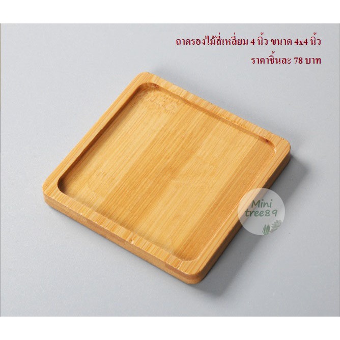 ถาดรองไม้ สีครีม ถาดเปล่า (ขนาด 3นิ้ว หรือ 8 เซนติเมตร) จ.น 3 ชิ้น เเละ 9เซ็น มีหลายขนาดหลายตัวเลือกด้านใน minitree89🌵🪴 - รูปที่ 7