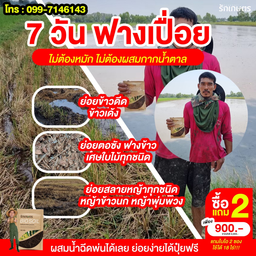 Rakkaset(รักเกษตร) ย่อยสลาย - รูปที่ 3