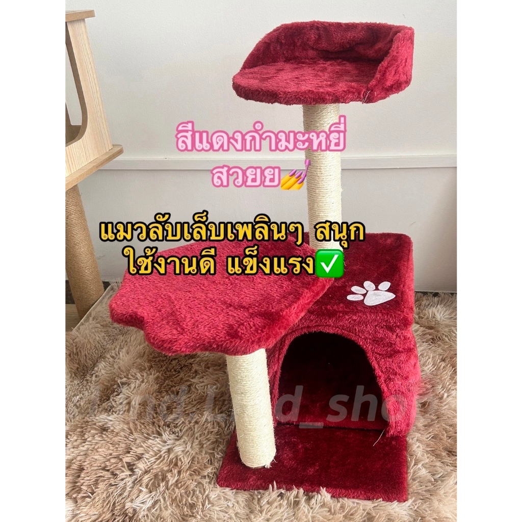 เสาลับเล็บแมว คอนโดแมว ของเล่นแมว บ้านแมว ขนาดเล็ก สูง  45 -68 CM ราคา ถูกที่สุด ดีลบีเคเค แกลเลอรีภาพที่ 5
