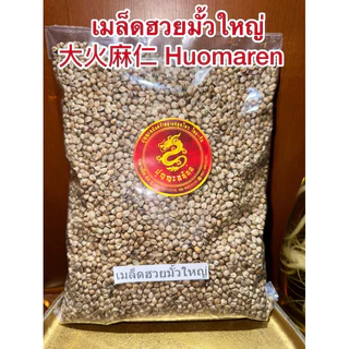 เมล็ดฮวยมั้วใหญ่ ฮวยมั้วยิ้งใหญ่ 大火麻仁 Huomaren เม็ดฮวยมั้ว ฮวยมั้วยิ้งใหญ่ Huomaren 火麻仁เมล็ดฮวยมั้วมี2ไซส์ใหญ่กับเล็ก