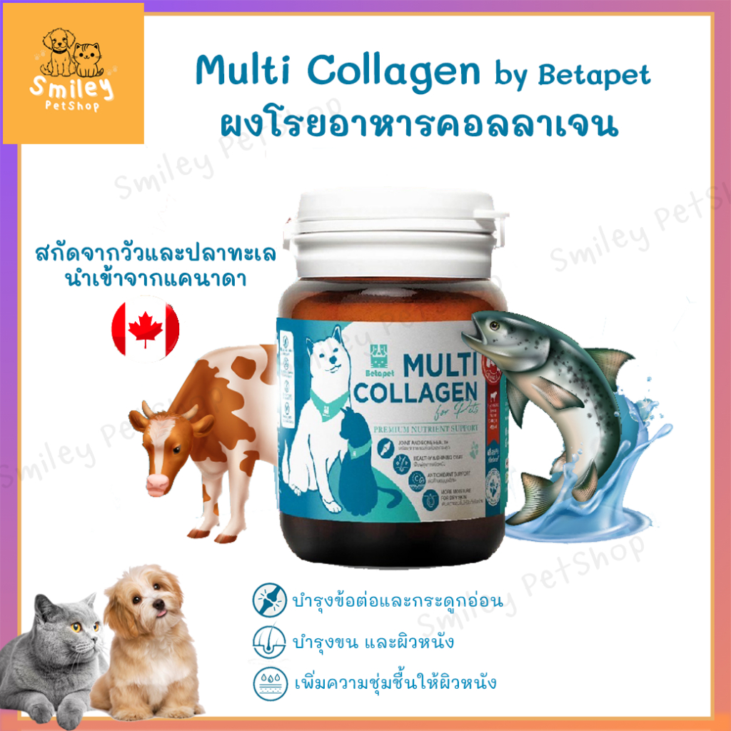 BETAPET อาหารเสริมคอลลาเจน Multi Collagen บำรุงข้อต่อ กระดูกอ่อน บำรุงขนและผิวหนัง สำหรับสุนัข แมว ต้านอนุมูลอิสระ 50 g.
