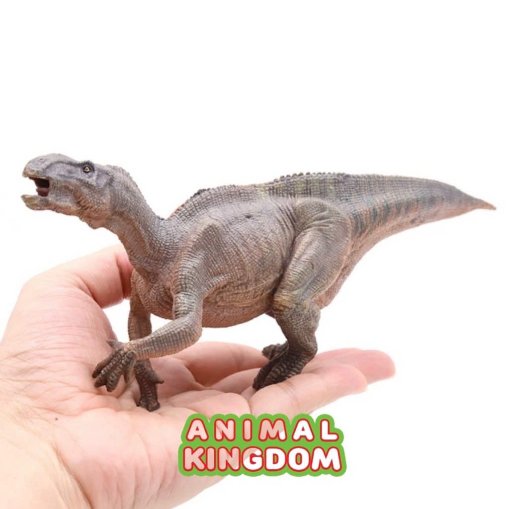 Animal Kingdom - โมเดล ไดโนเสาร์ Iguanodon น้ำตาล ขนาด 23.00 CM (จากสงขลา)