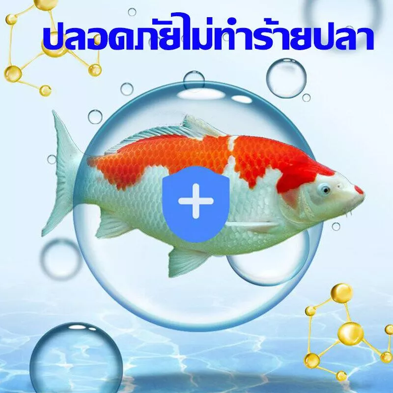 จุลินทรีย์บ่อปลา สลายอุจจาระปลา ปรับสภาพน้ำ ขจัดสารพิษ น้ำใส thumbnail 6