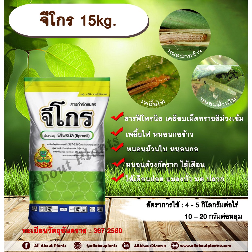 จีโกร 15kg. ฟิโพรนิล สารกำจัดแมลง รองก้นหลุม กำจัดเพลี้ยไฟ หนอนกออ้อย กอข้าว หนอนม้วนใบ ปลวก แมลงใต้ดิน allaboutplants