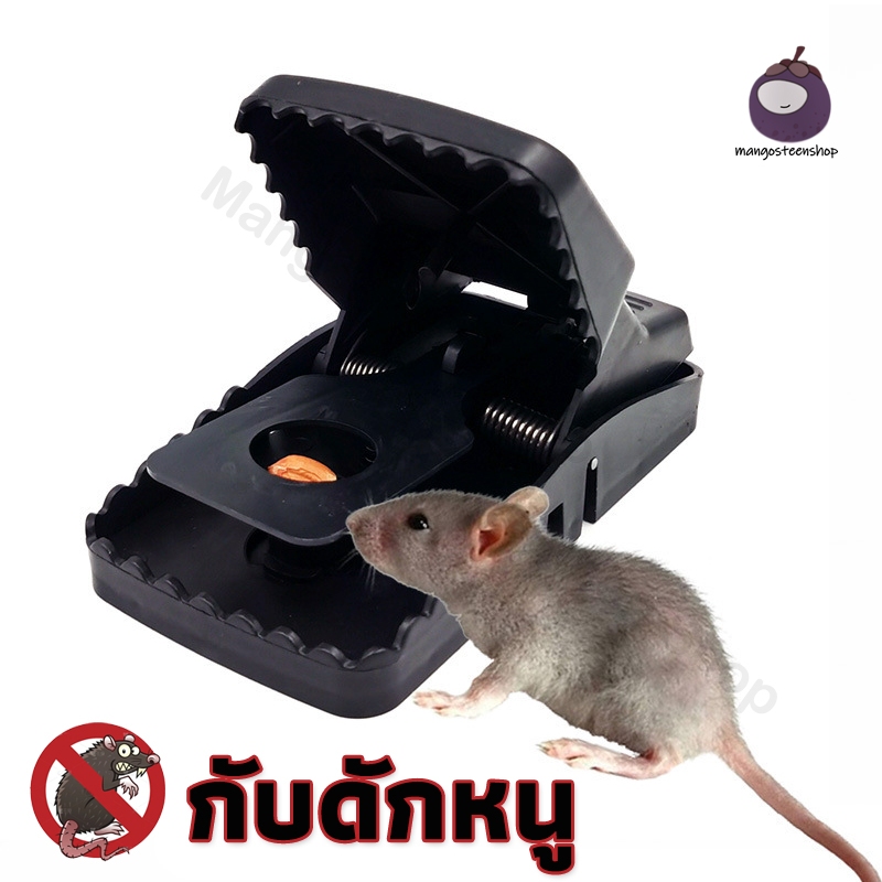 กับดักหนู เหยื่อดักหนู สารกำจัดหนู อุปกรณ์ดักหนู ใช้ซ้ำได้ ประเภทสปริง MouseTrap ความไวสูง ขนาดเล็ก