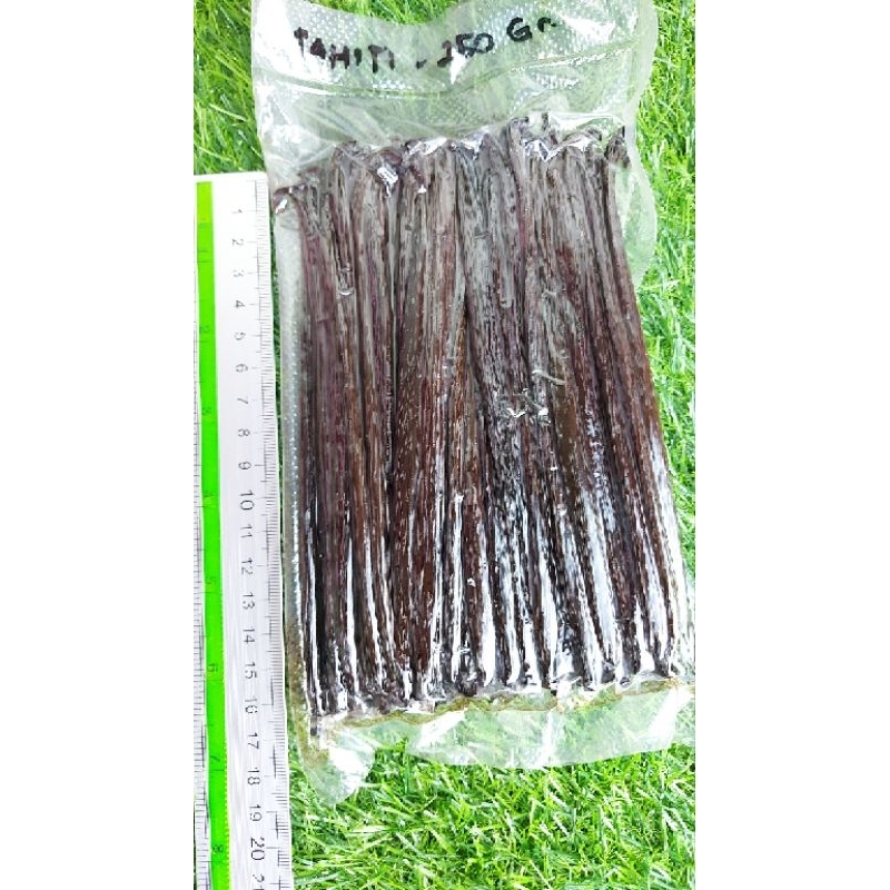 ฝักวานิลาตาฮิติ (Tahiti) 0.5kg. Grade A+, ยาว 14-16cm. (130-150ฝัก)