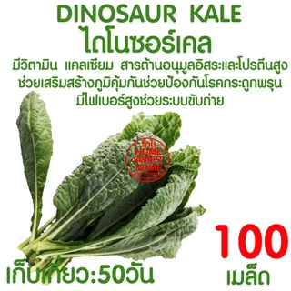 *โค้ดส่งฟรี* เมล็ดผักสลัด ผักสลัด เมล็ดผัก (2,000เมล็ด+) เมล็ดพันธุ์ เมล็ดพันธุ์ผักสลัด งอกดี ปลูกผัก สลัด Clearance