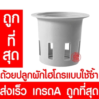 *โค้ดส่งฟรี* เมล็ดผักสลัด ผักสลัด เมล็ดผัก (2,000เมล็ด+) เมล็ดพันธุ์ เมล็ดพันธุ์ผักสลัด งอกดี ปลูกผัก สลัด Clearance